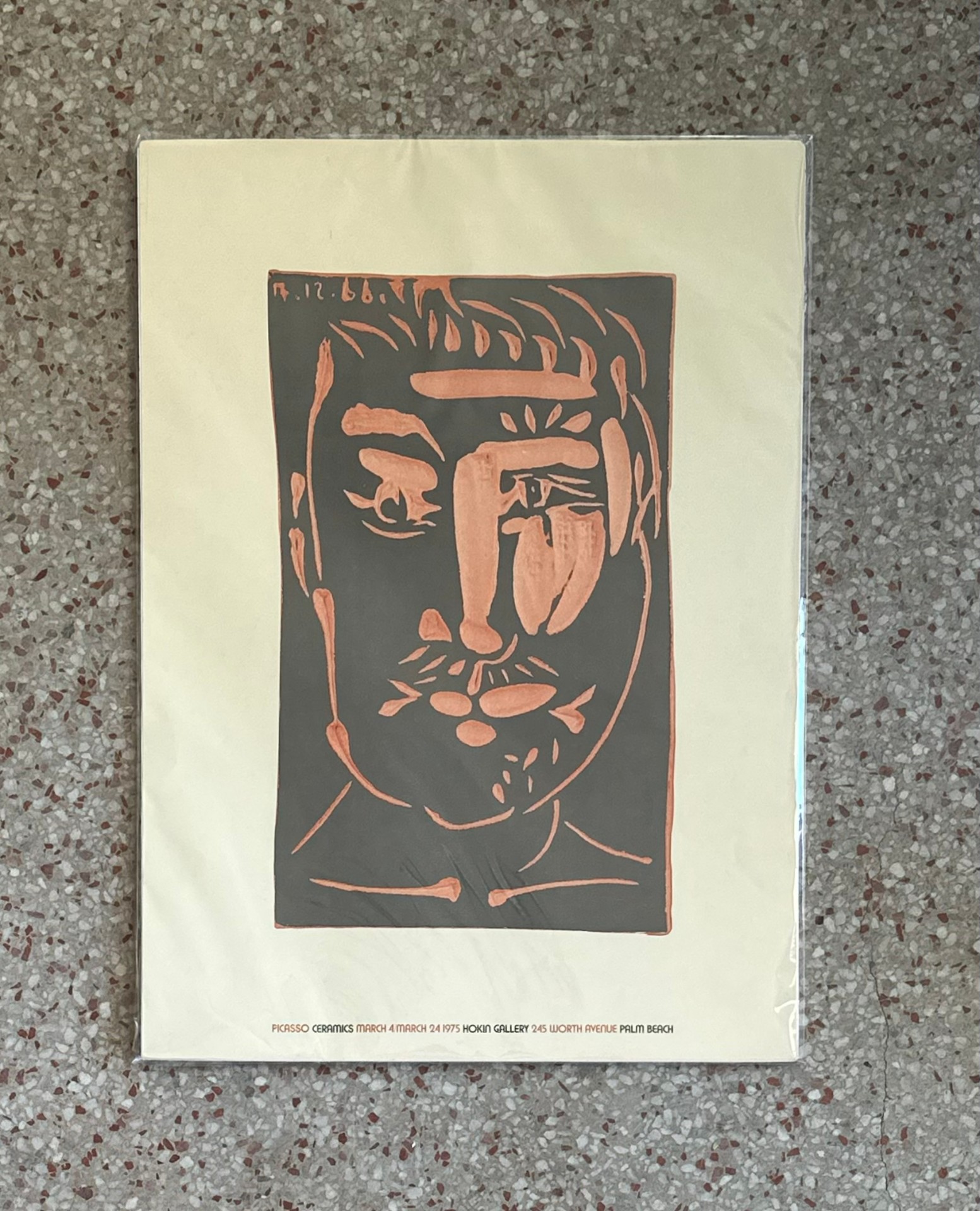 Vintage Picasso in Palm Beach Poster - Top view