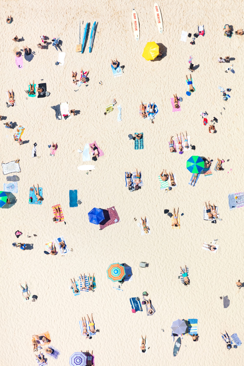 Tamarama Beach Sunbathers Sydney Gray Malin Fine Art Photography