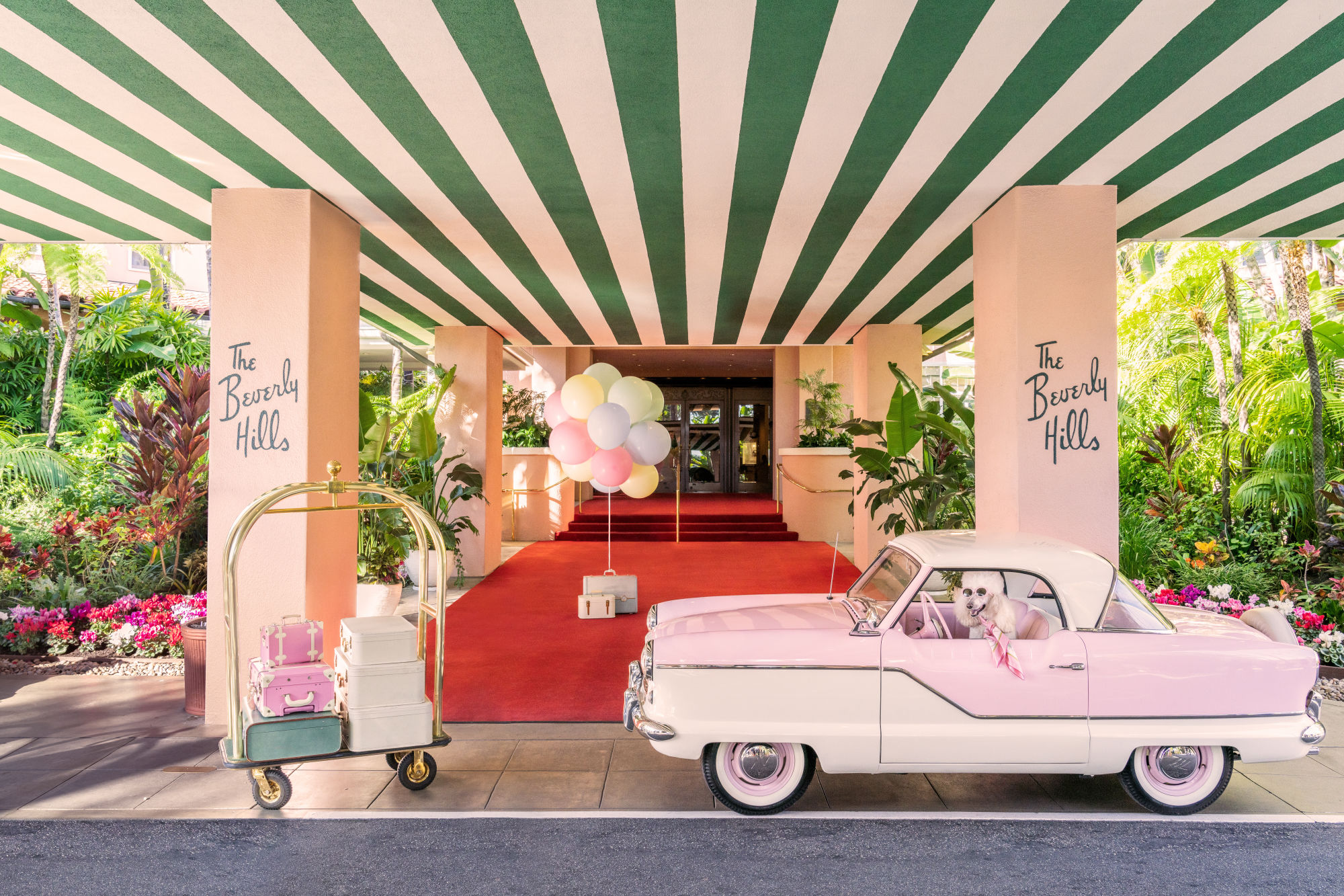 Introducing Dogs at The Beverly Hills Hotel from Gray Malin. Gray Malin