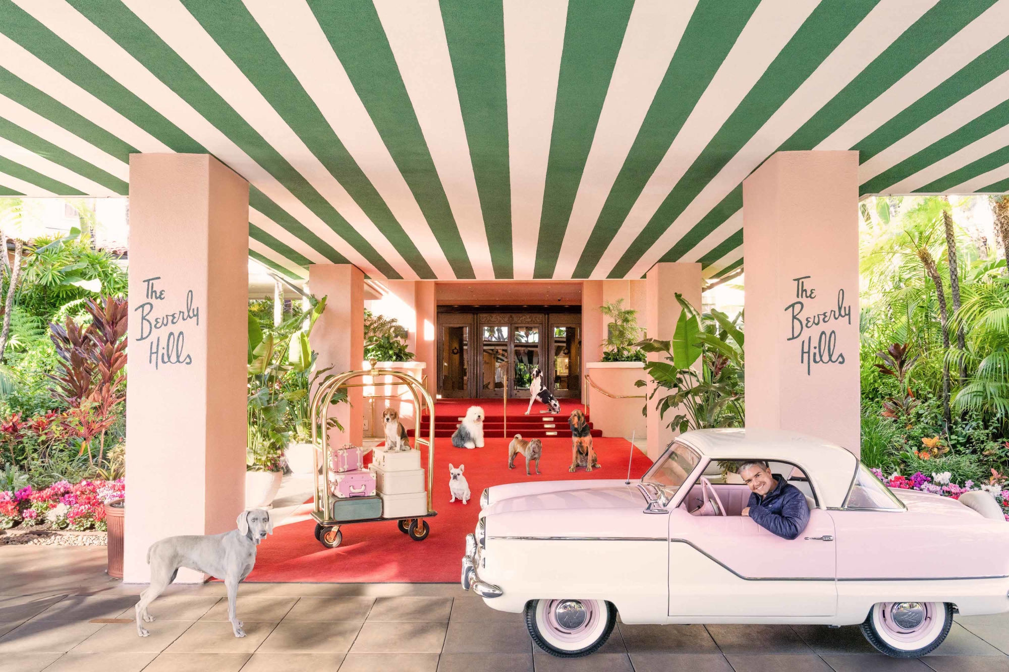 The Making of Gray Malin's Dogs at The Beverly Hills Hotel Gray Malin