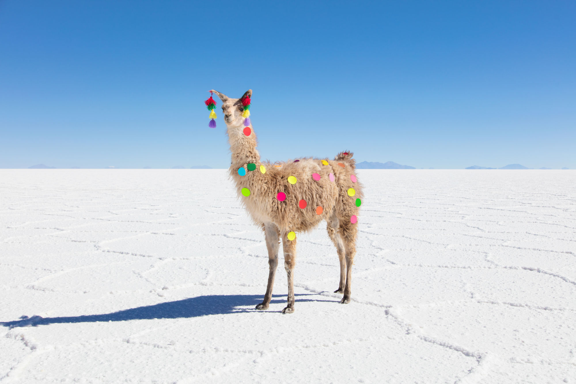 To 10 New Gray Malin Prints Gray Malin