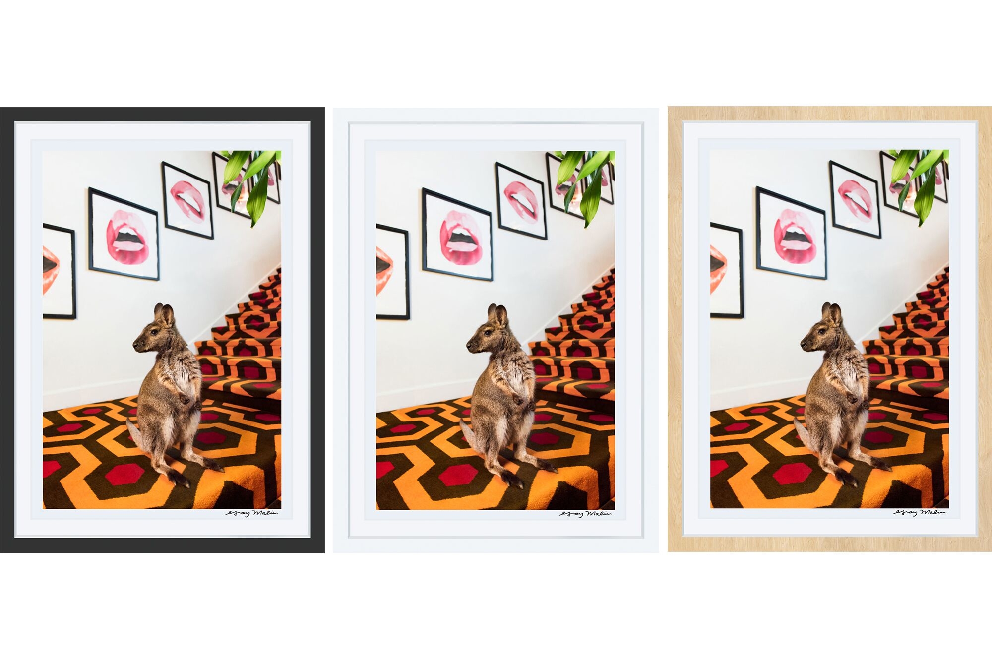 How To Choose The Best Frame For Your Print Gray Malin