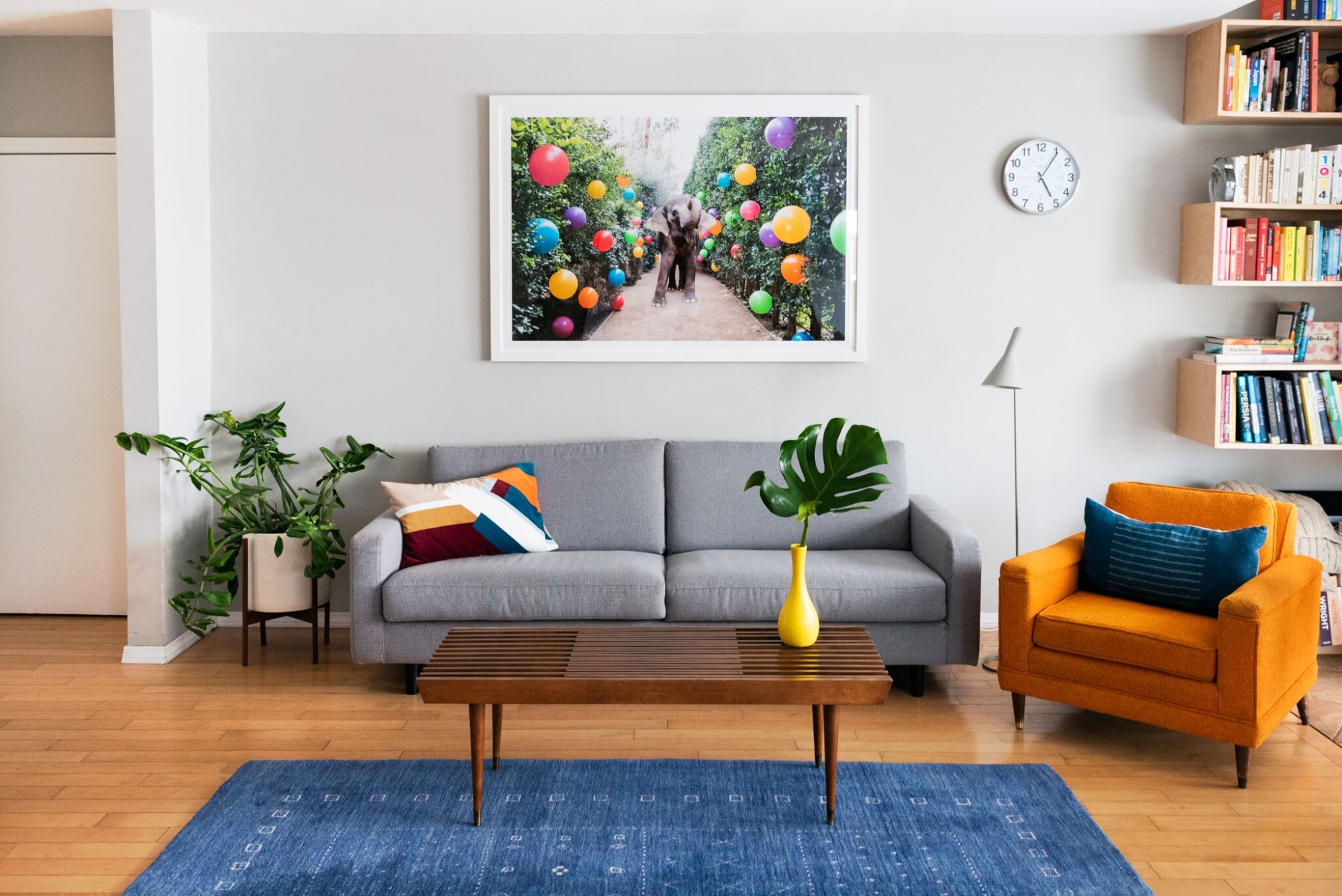 Amy Tangerine At Home Gray Malin