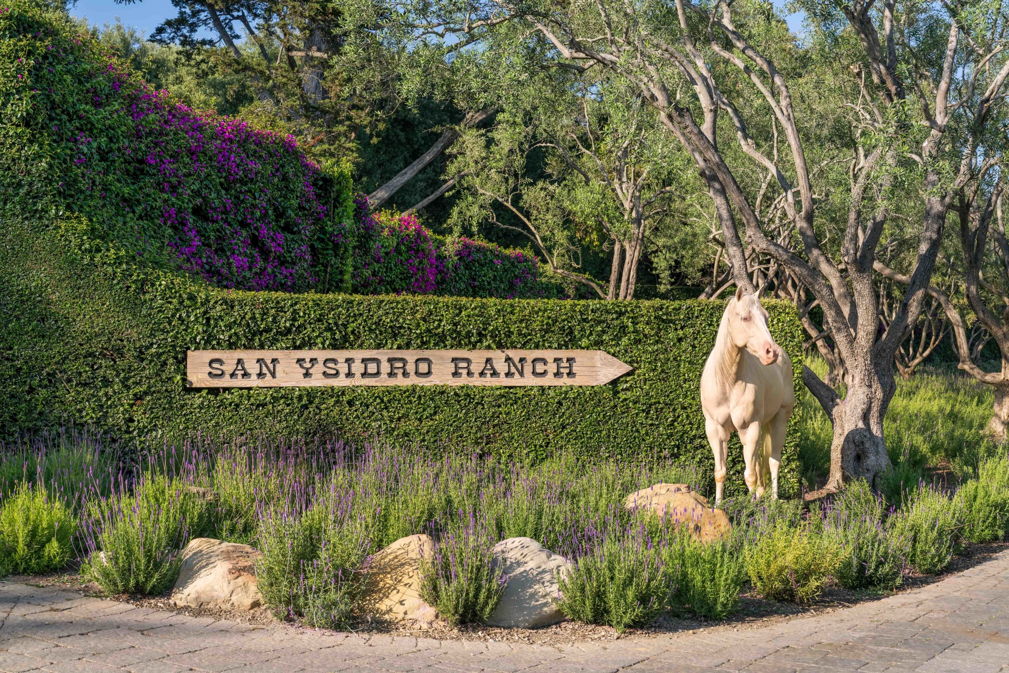 Gray Malin at San Ysidro Ranch Behind the Scenes