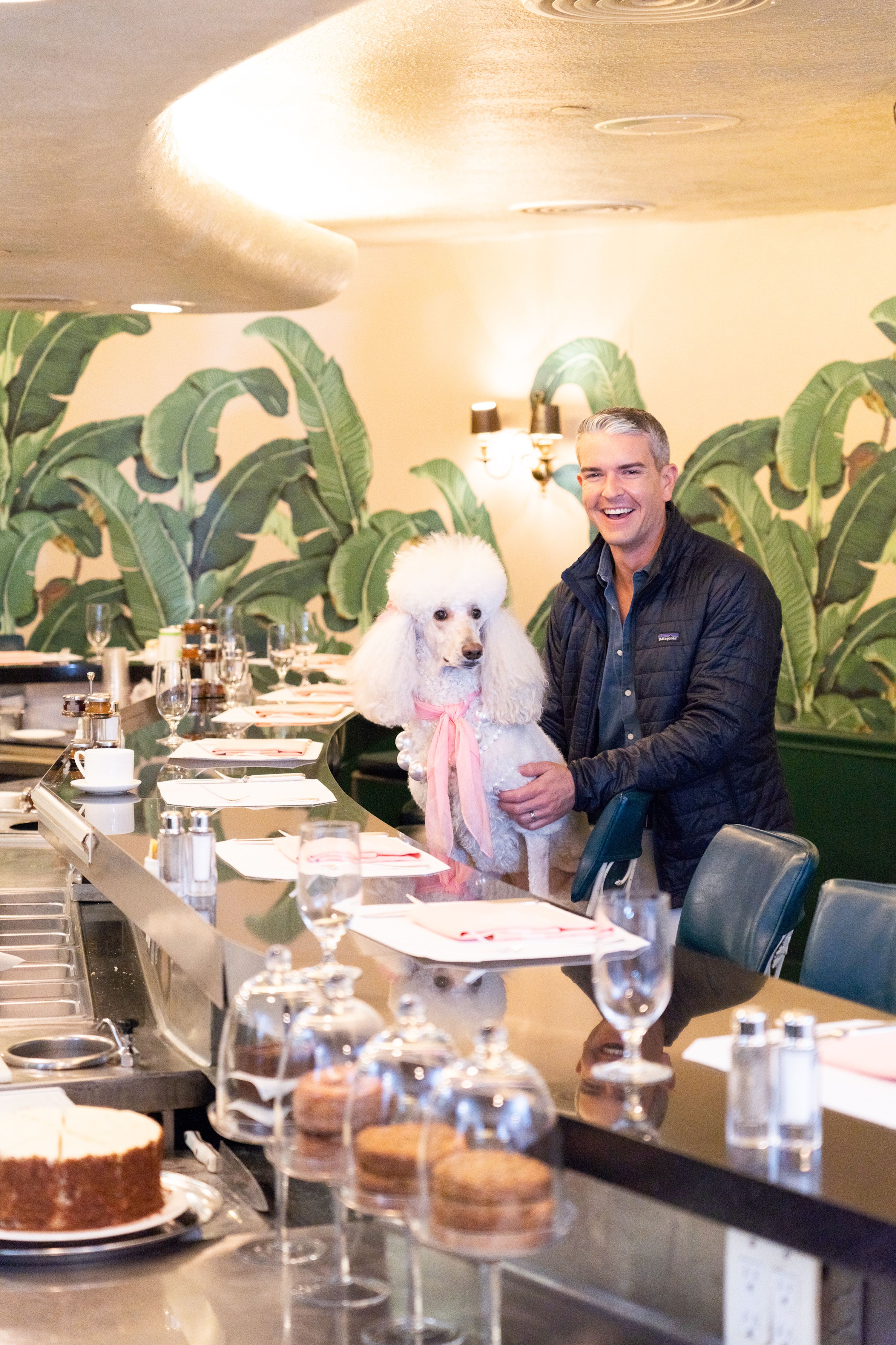 The Making Of Gray Malin'S Dogs At The Beverly Hills Hotel | Gray Malin