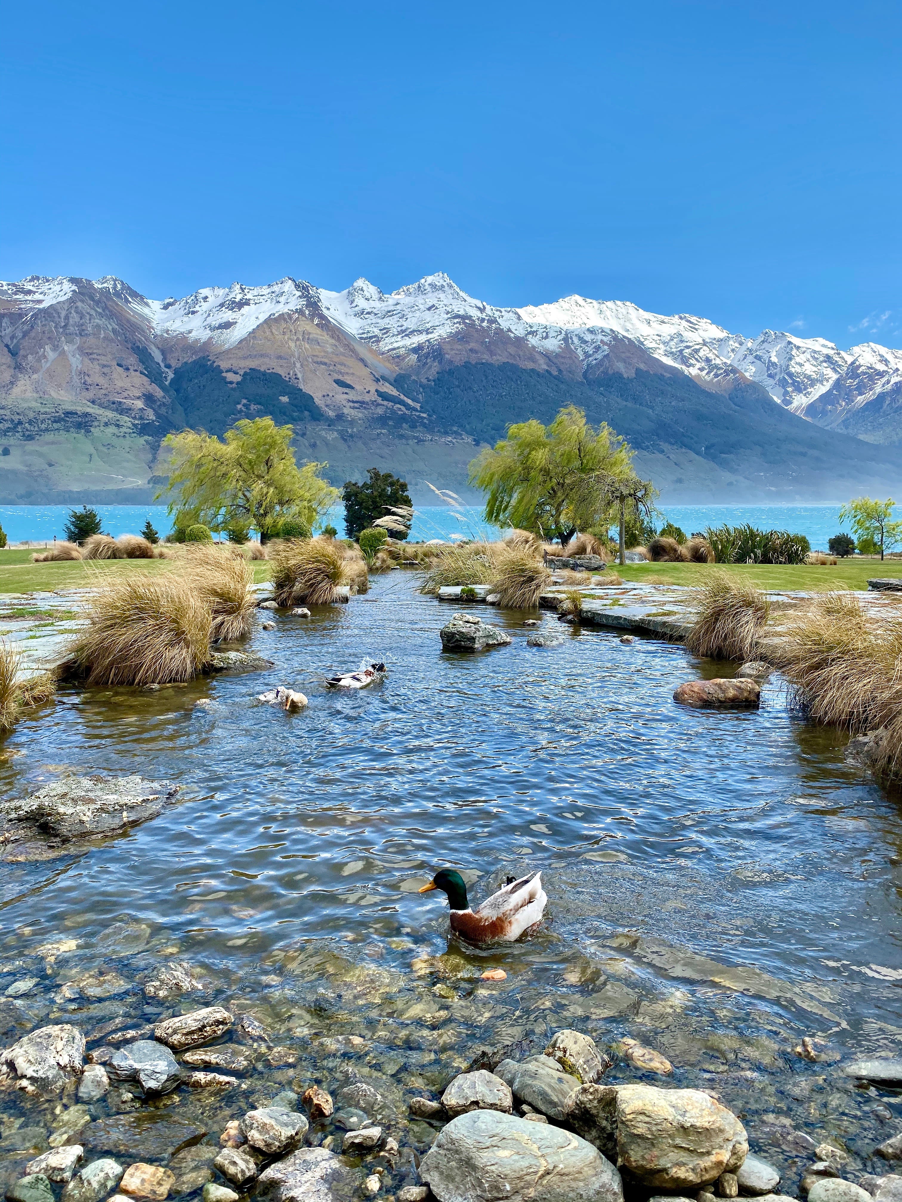 New Zealand Travel Guide