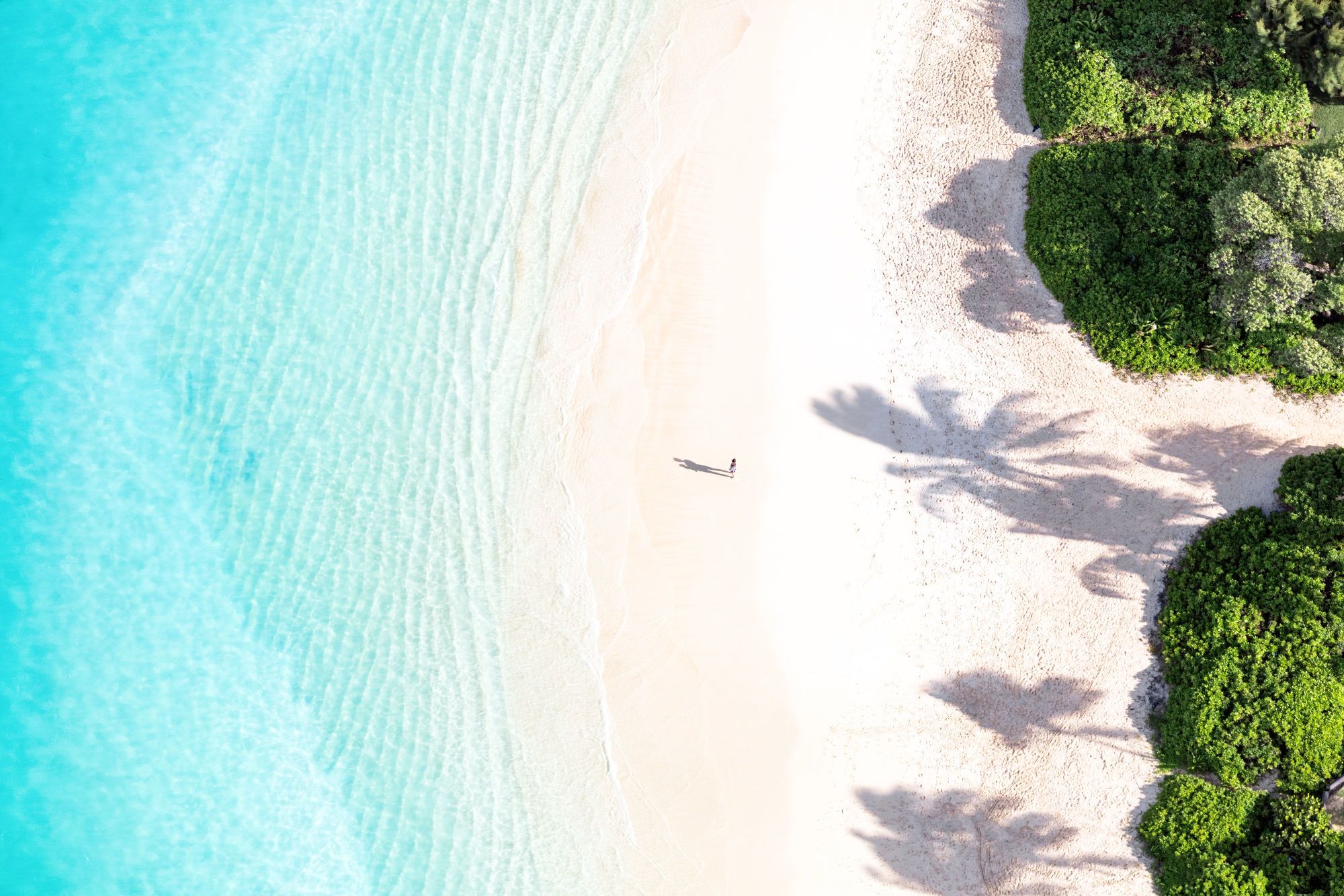 Aerial Beach Photography