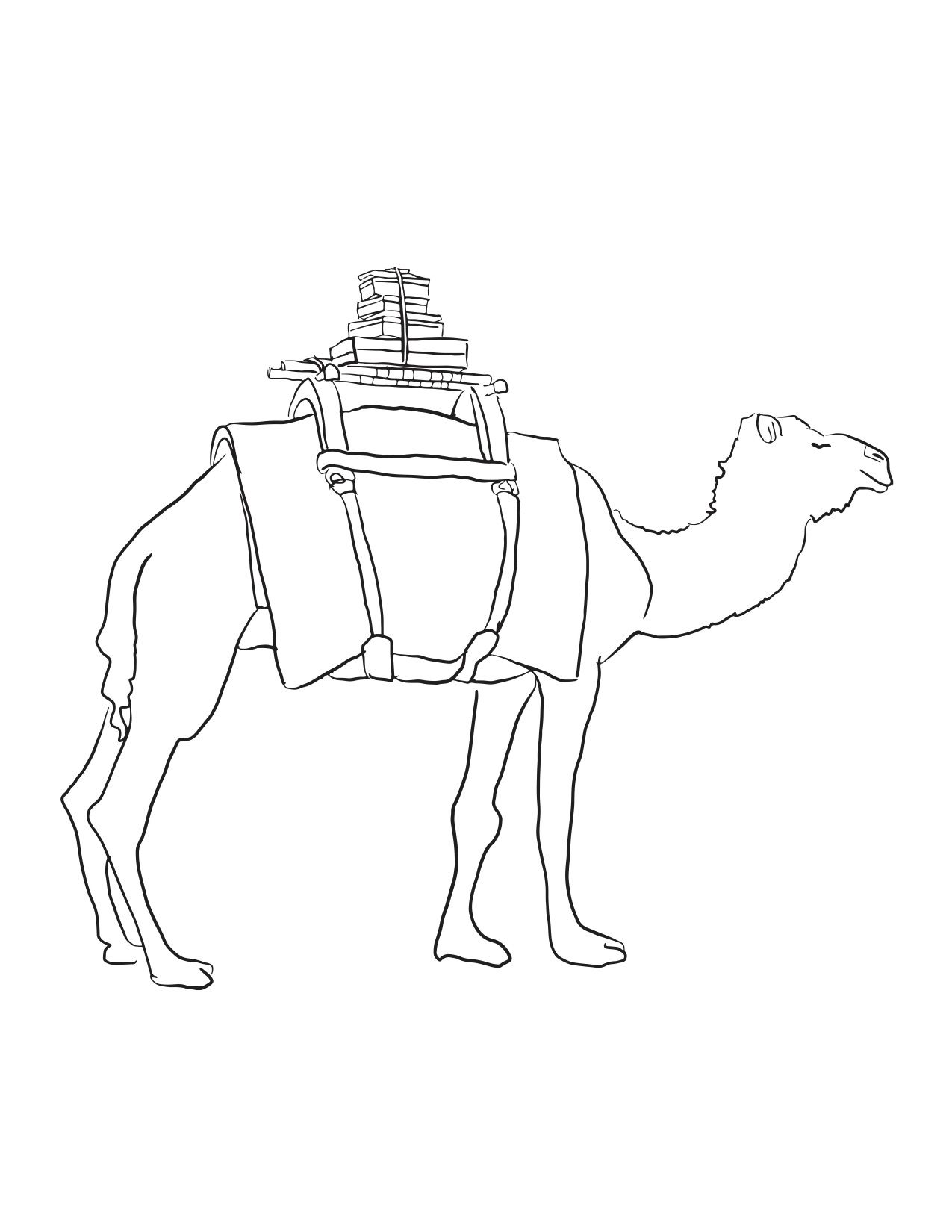 Gray Malin Kids Coloring Pages Gray Malin At The Parker