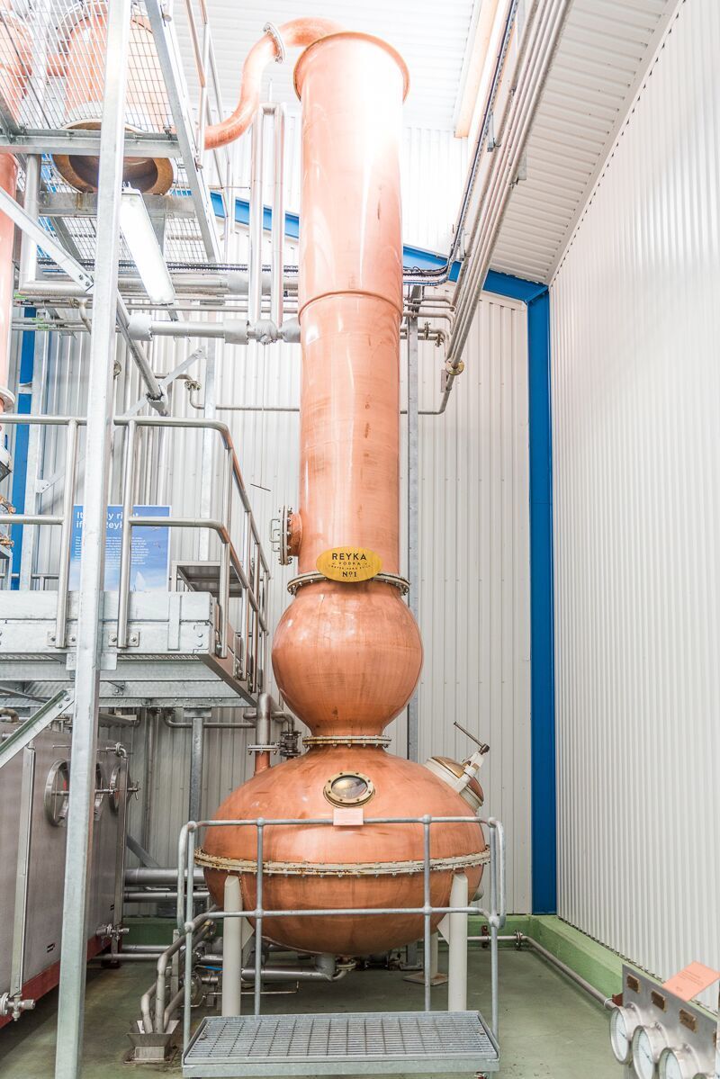 reyka vodka distillery tour