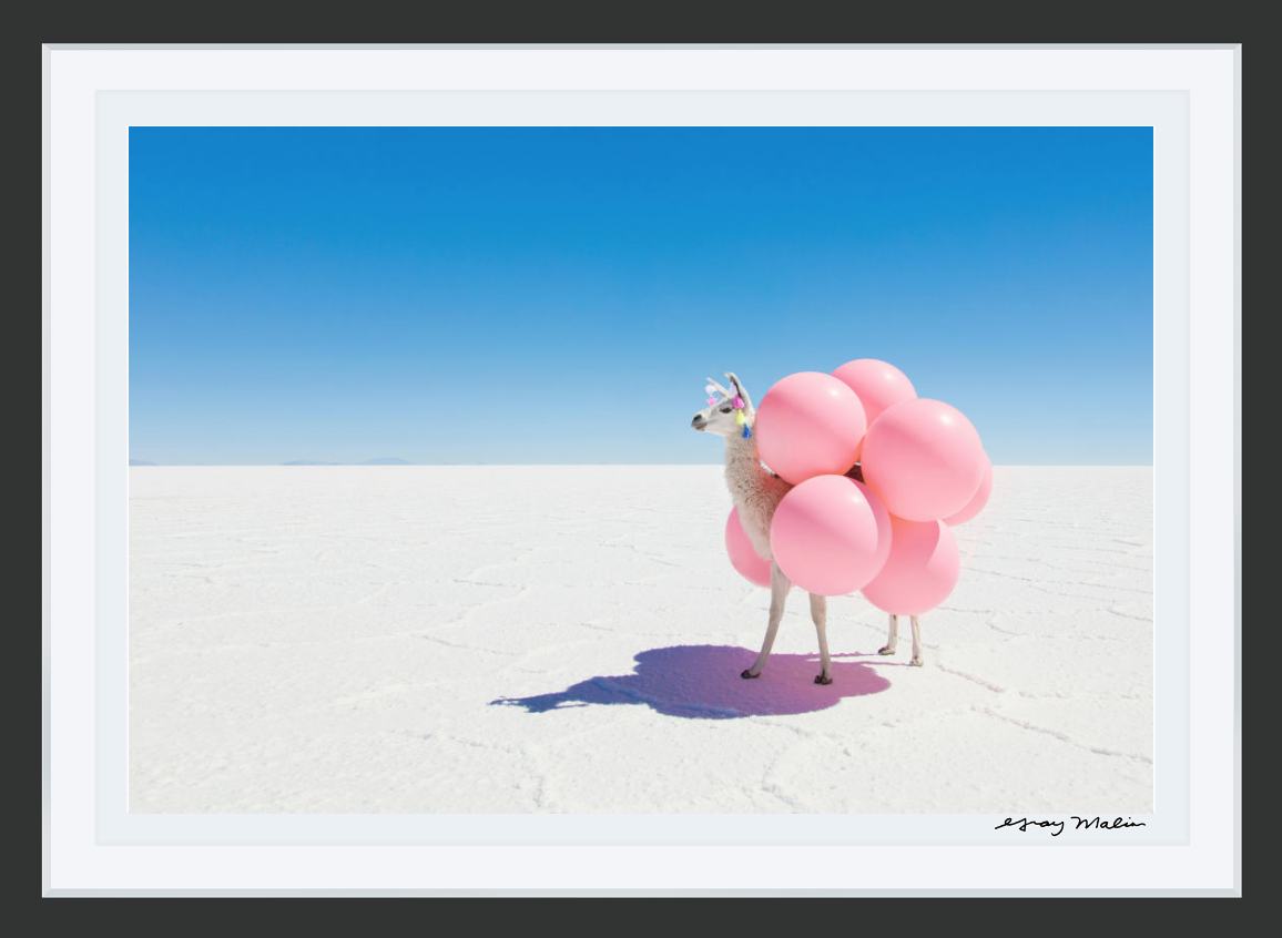 How to Choose the Right Frame for Your Print | Gray Malin
