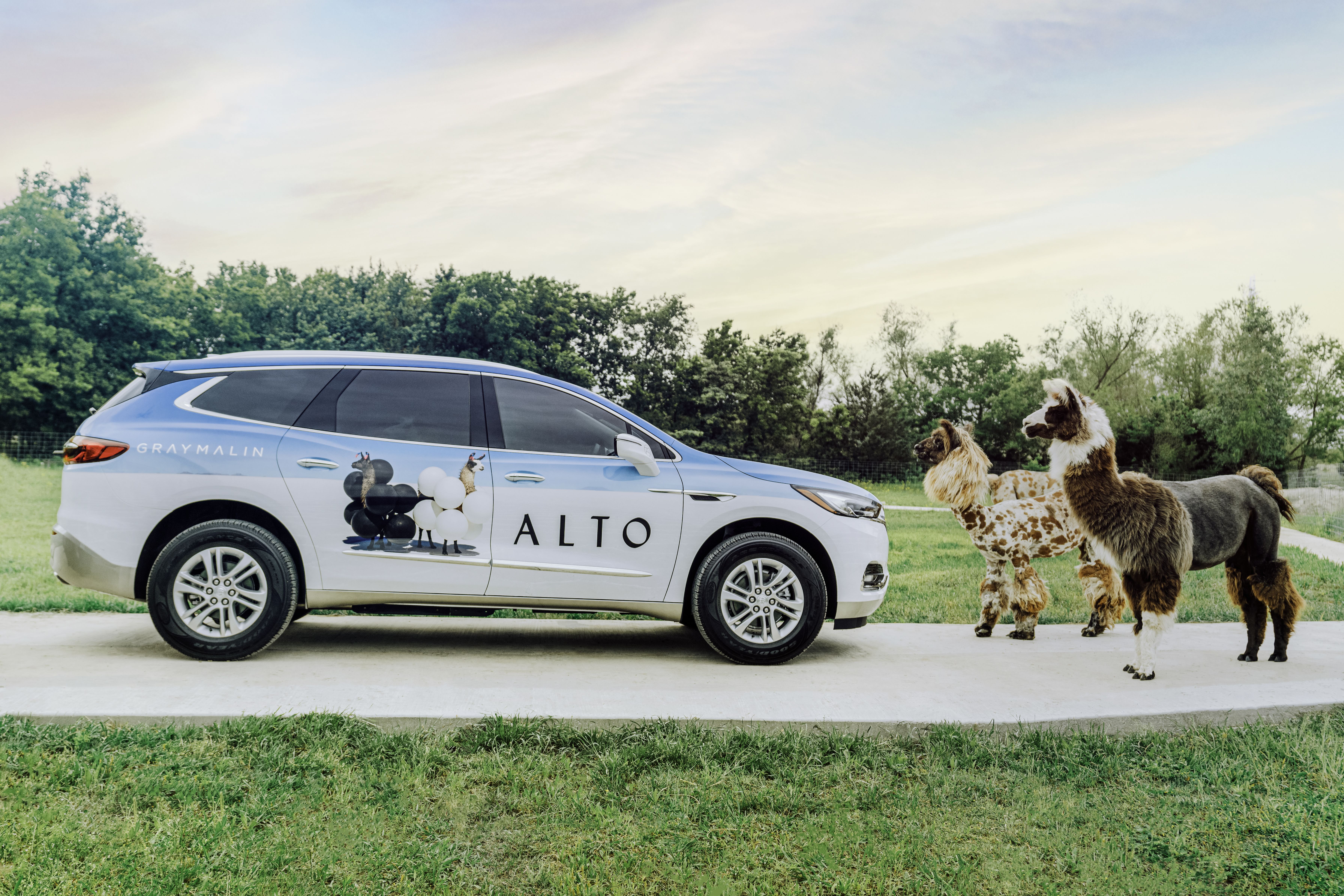 Gray Malin x Alto Dallas Car