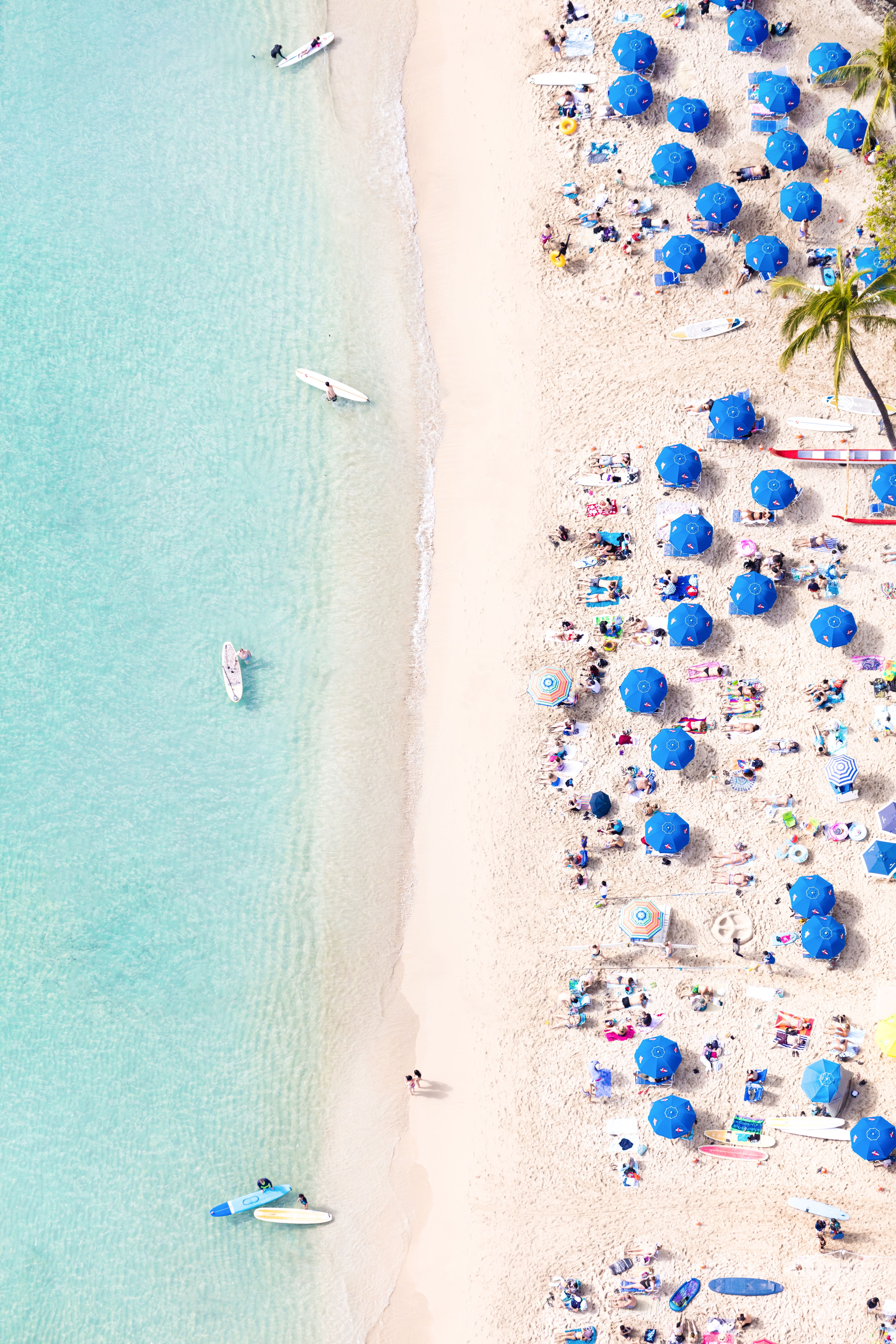 Waikiki Beach Blue Umbrellas Gray Malin Fine Art Photography