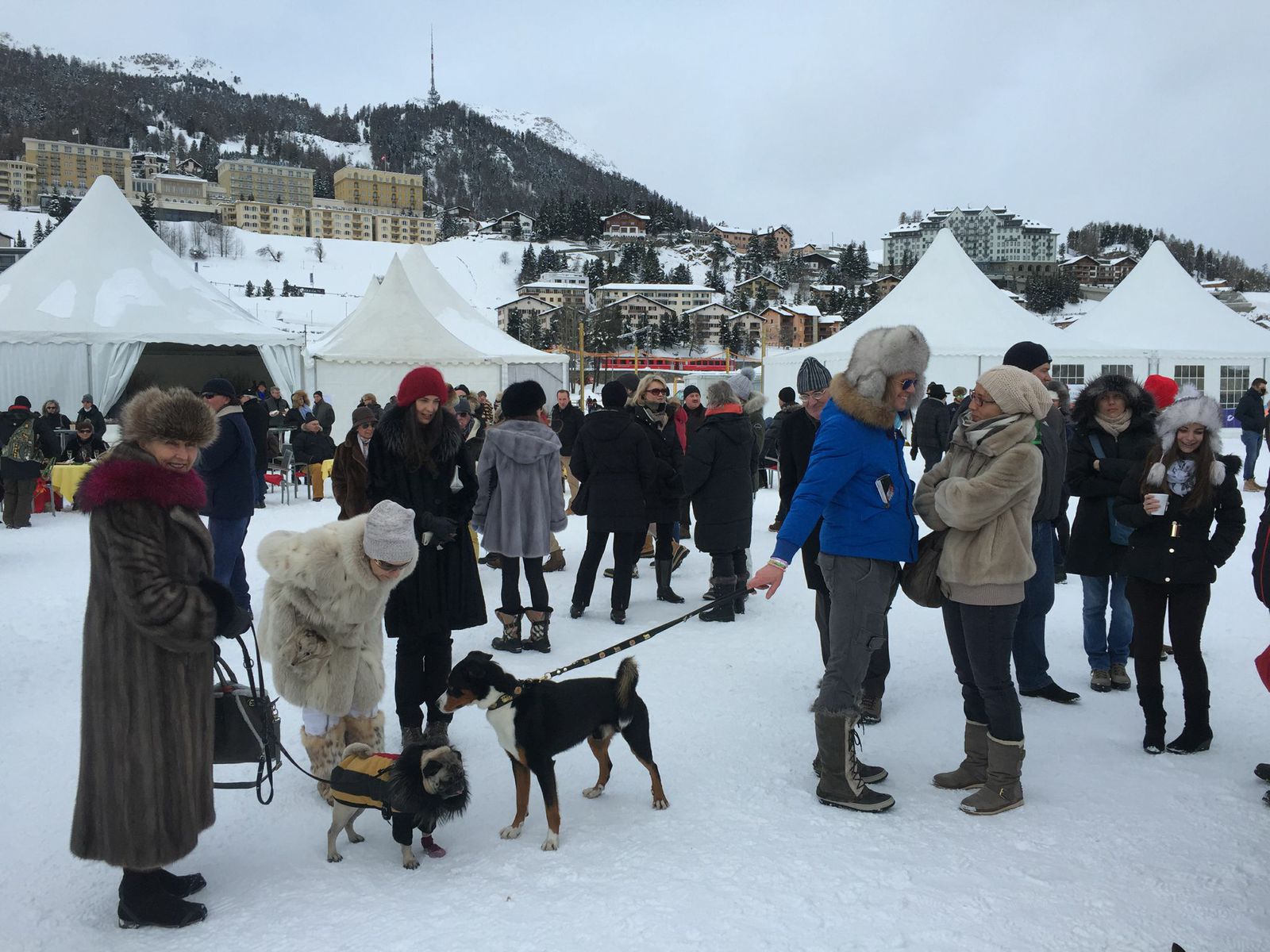 Snow-Polo-St-Moritz