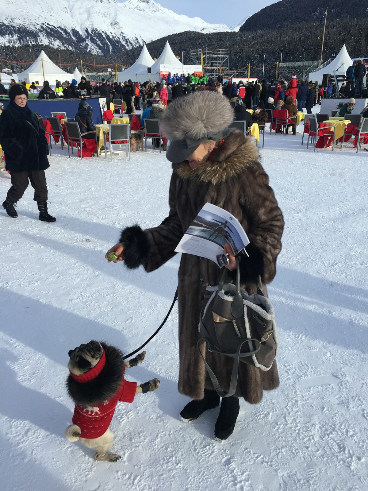 Snow-Polo-St-Moritz