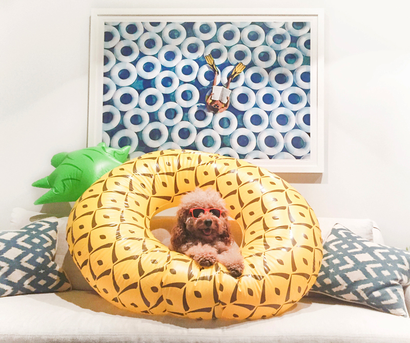 Samson the Dood with his Gray Malin print