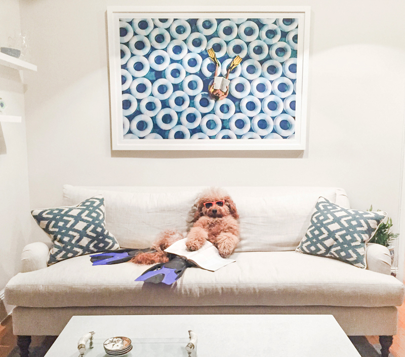 Samson the Dood with his Gray Malin print