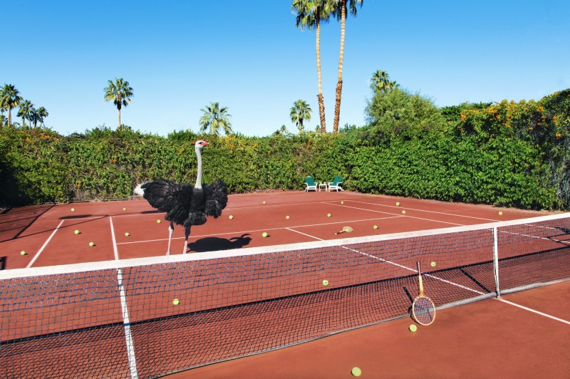 Tennis-Lesson