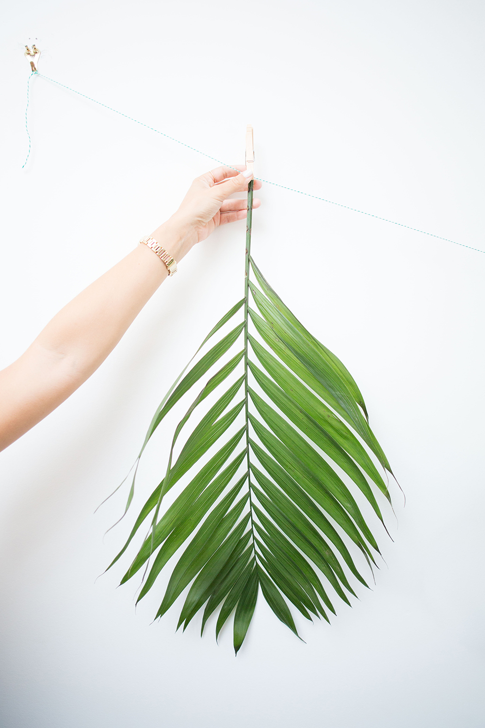 How to Decorate with Palm Leaves: Hang them Up