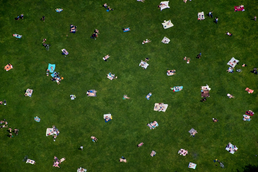 Central Park Lawn, print by Gray Malin