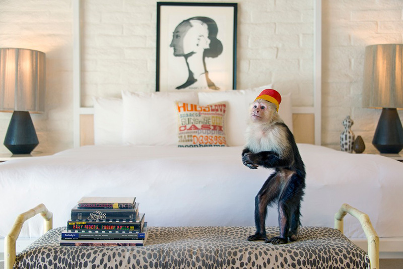 Room Service print, Gray Malin - City Guide to Palm Springs