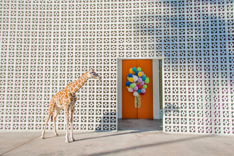 Welcome to the Parker, by Gray Malin - Palm Springs City Guide