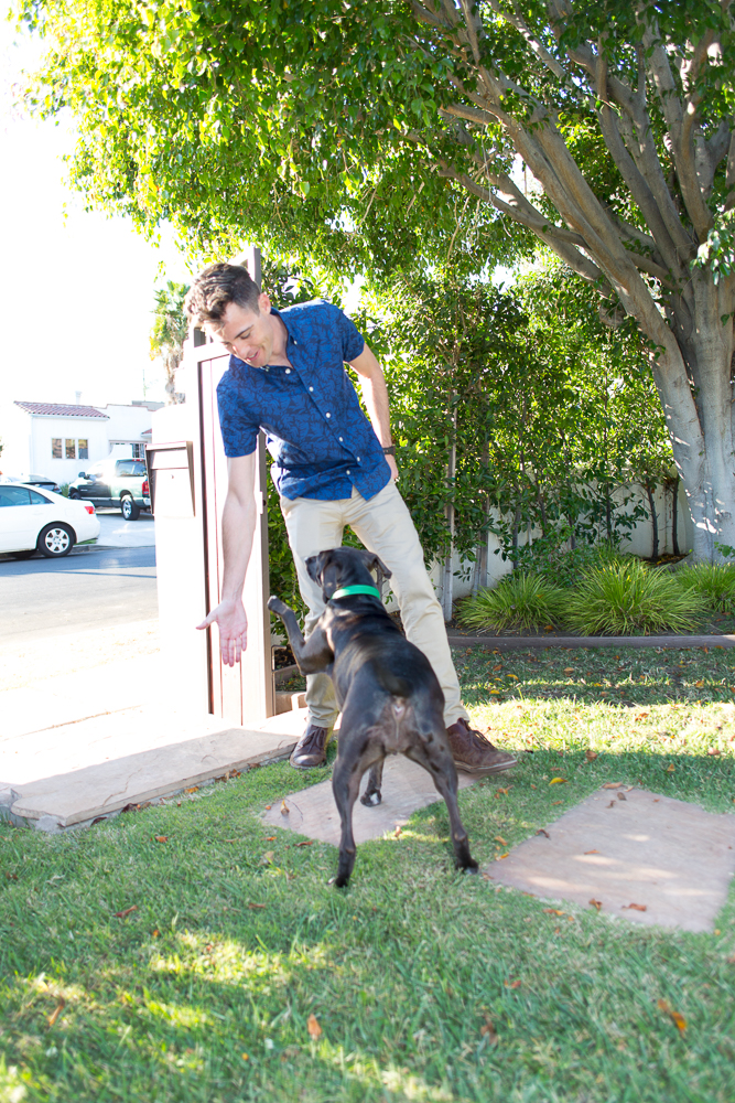 Keep your dog Street Safe with these Dog Training Tips