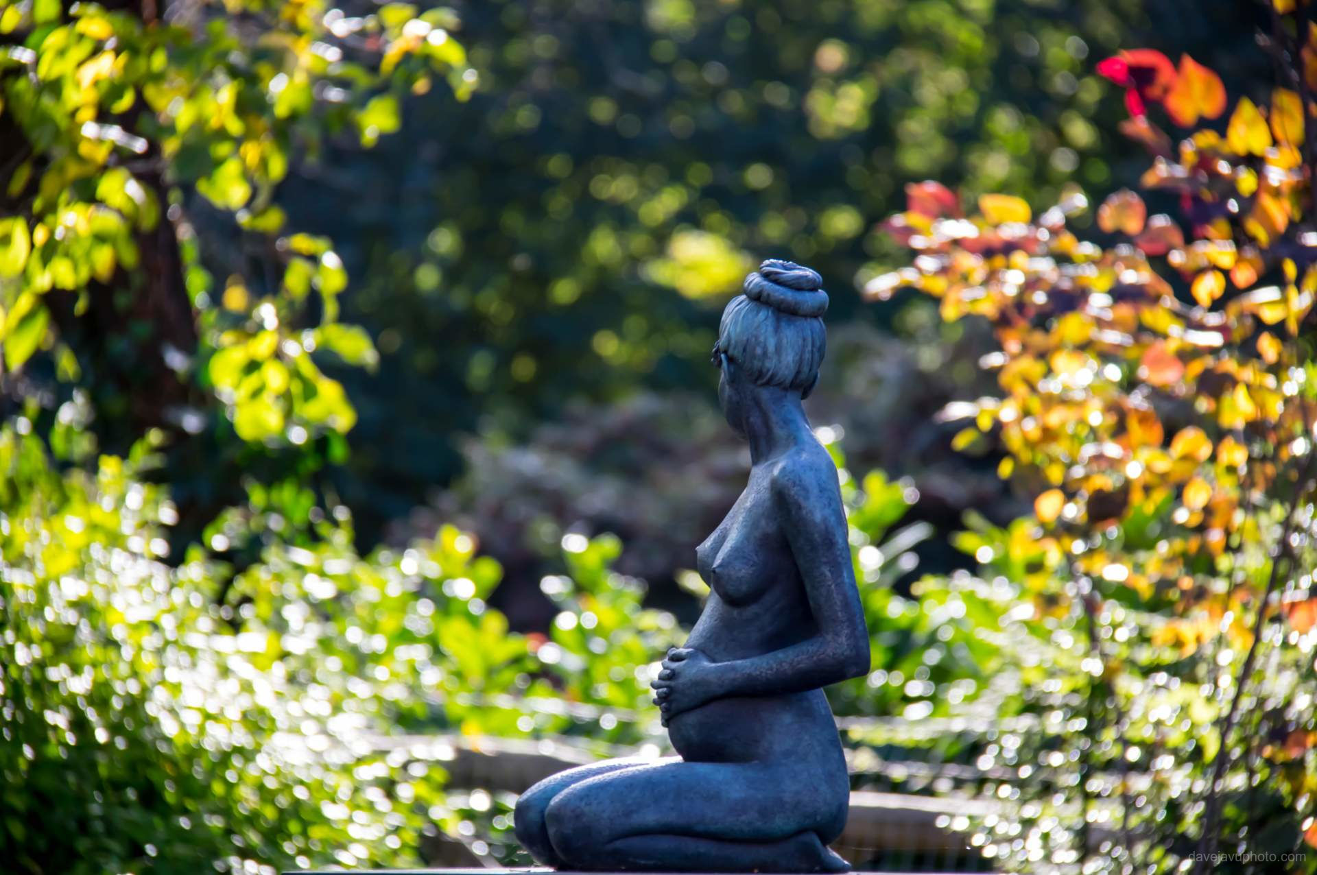 Quiet Expectation — Bronze Garden Reverie