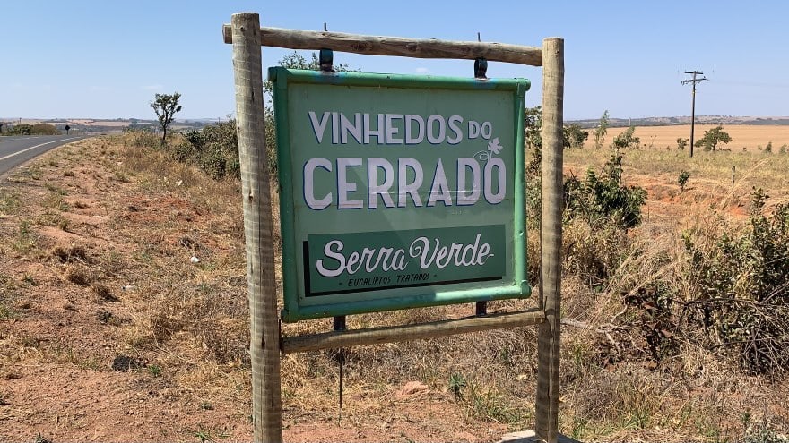 Está em Caldas Novas? Não perca a oportunidade de visitar um vinhedo