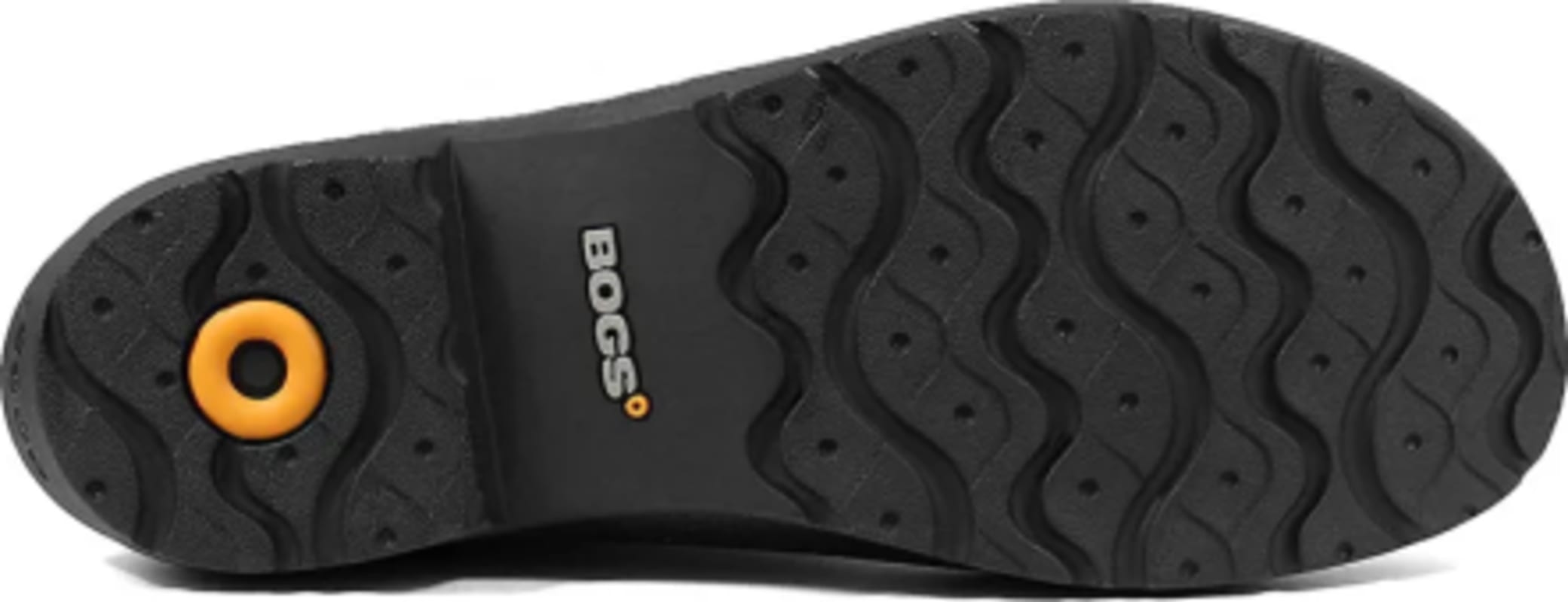 Bogs flora 2025