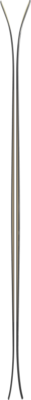 ATOMAA0030680170-AA0030680_9_GHO_MAVERICK_105_CTI