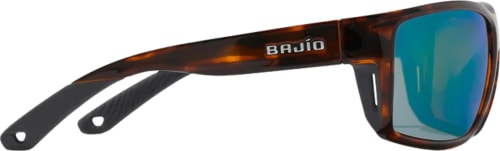 BAJIBAL111112-6