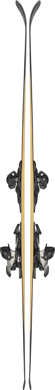 BLIZ8A5334CC001175-8A5334CC-001_STORMBIRD_80_TI_03
