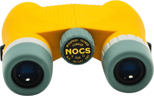 NOCSNOCSTDYL2-1