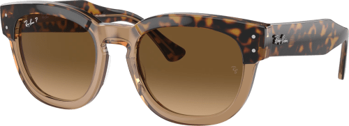 RABA0RB0298SF1292M253-80565979575191
