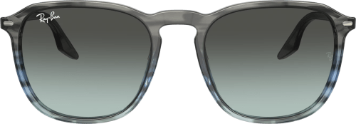 RABA0RB2203F1391GK55-80565979575712