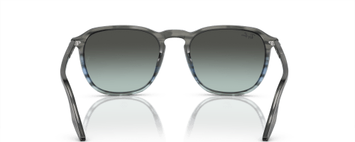 RABA0RB2203F1391GK55-80565979575714