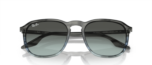 RABA0RB2203F1391GK55-80565979575715
