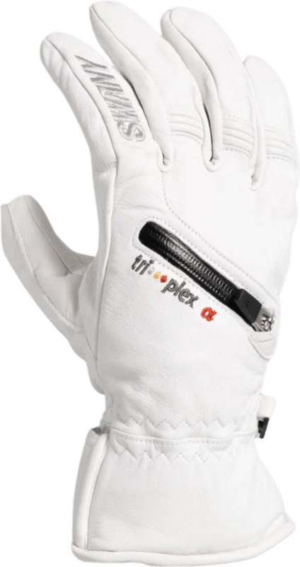 SWANSX10M100L-Swant6