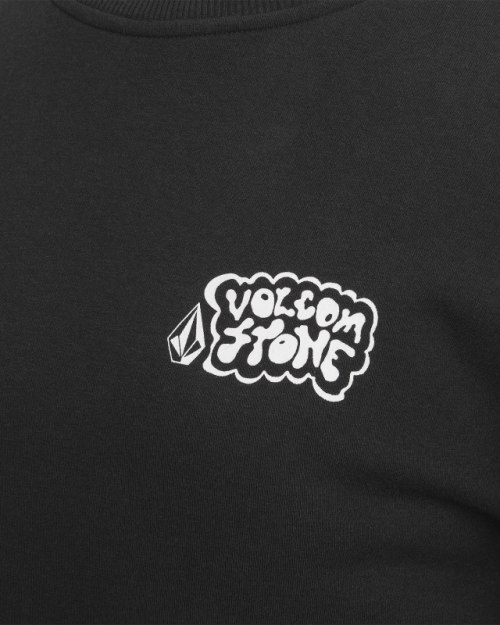 VOLCH4652501BLKS-H4652501_BLK_21