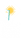 Wesley Housing's 5K Run/Walk