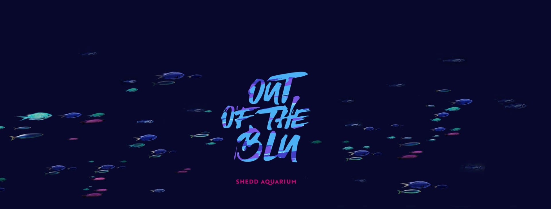 Out of the BLU