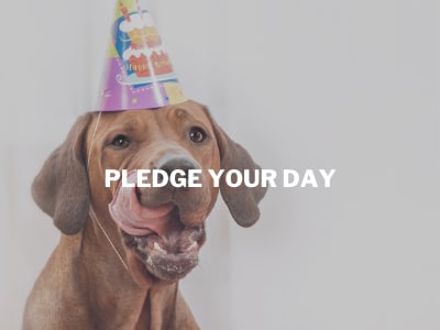 China Express Airlines® Refund Process: How to Request and Receive Your Money Back