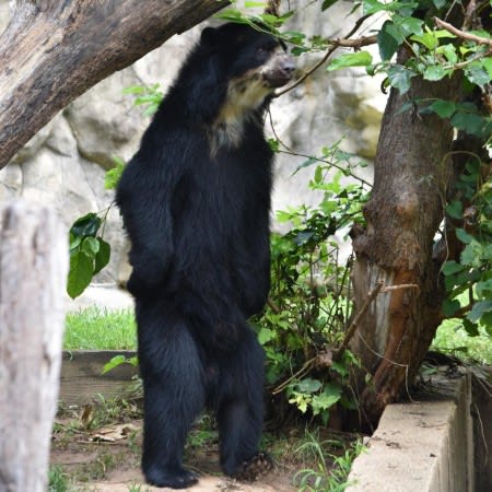 Bjorn's Housewarming Bonanza