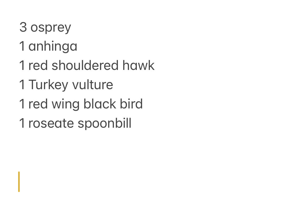 Audubon Birdathon Kelly Cox