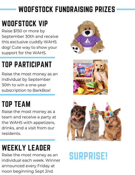 Fetch! Pet Care Franchises Collaborate with The Washington Nationals,  Budweiser, & Humane Rescue Alliance for a Successful 2017 'Pups in the Park'  Fundraising Event - Fetch! Pet Care