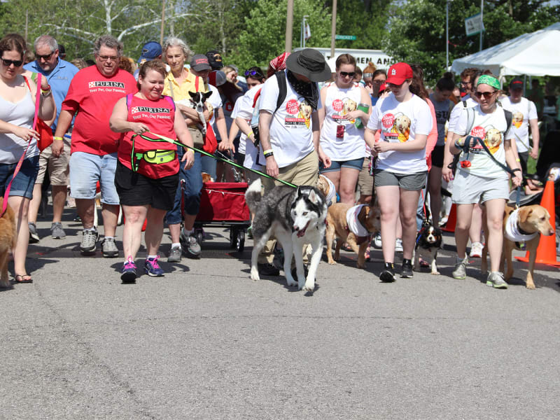 Tides to host 2023 Bark in the Park