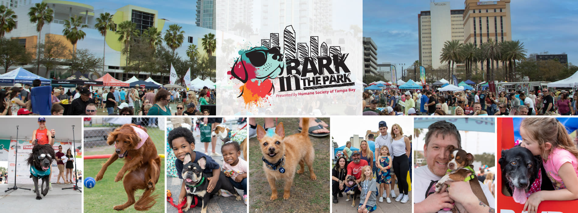 Everyone, and every pup, we saw at Tampa's 'Bark In the Park' fundraiser, Tampa