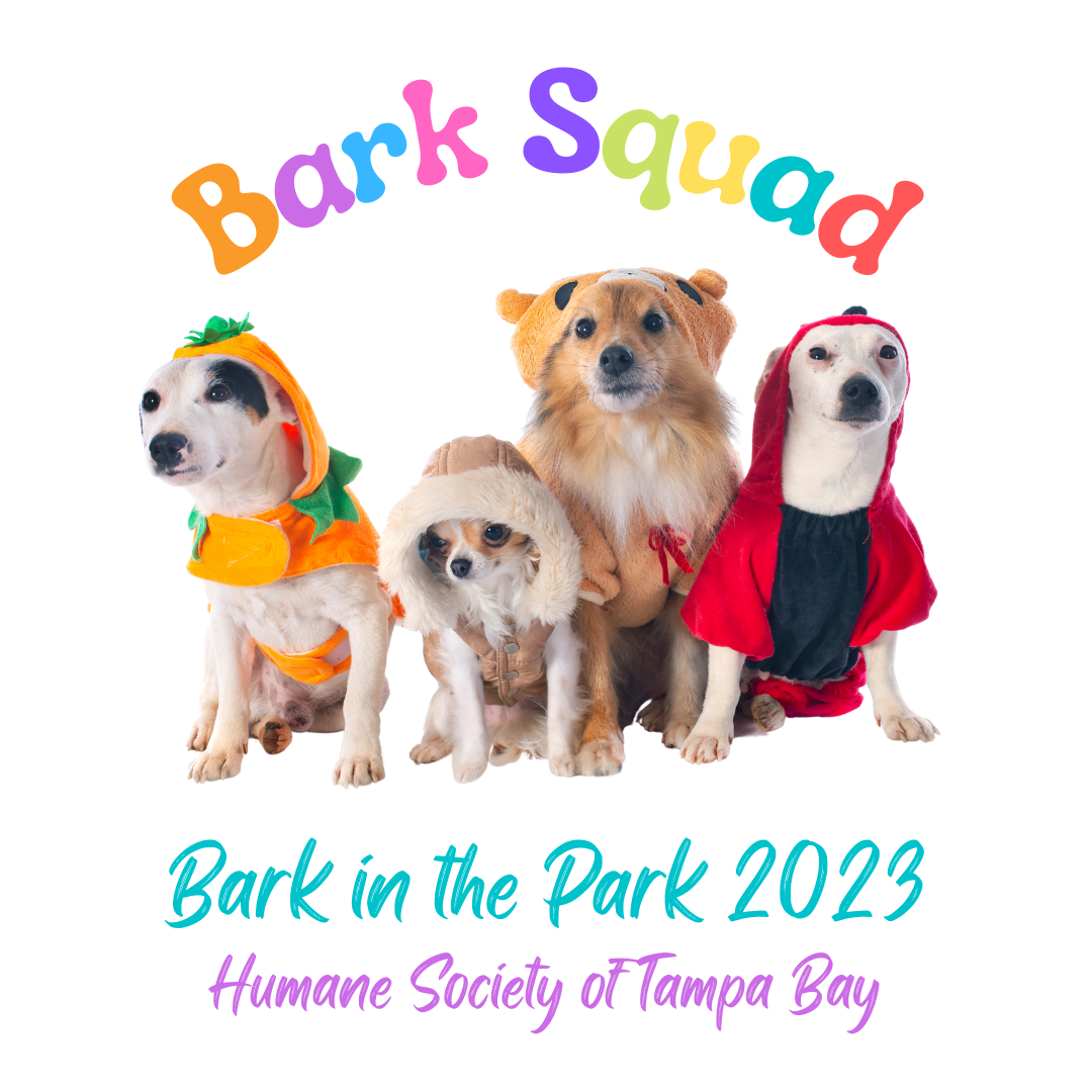 2022 Bark In The Park - Humane Society of Tampa Bay