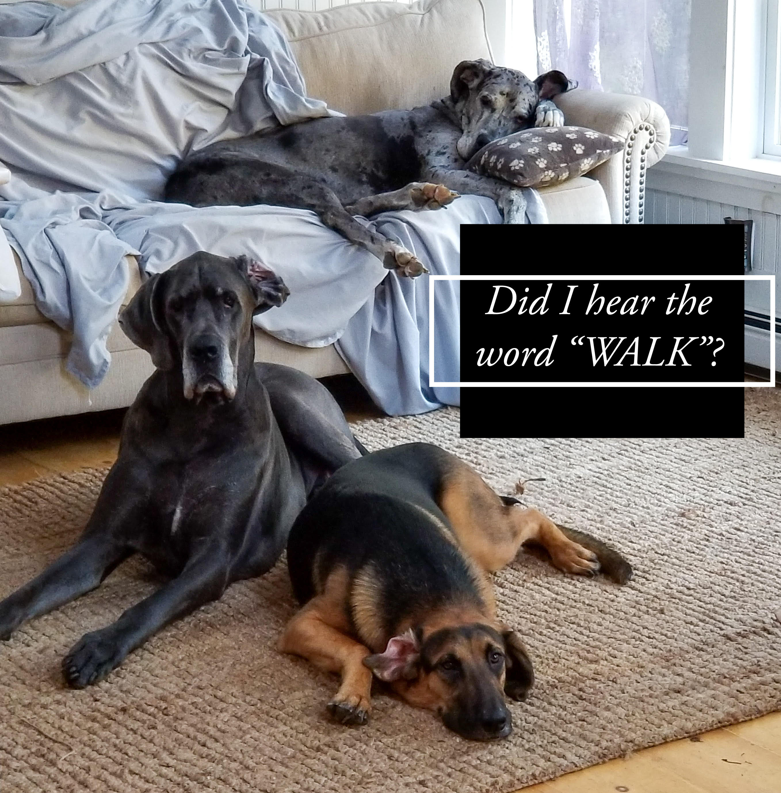 2023 Walk for Hope Kinlin Grover Compass Mid Cape