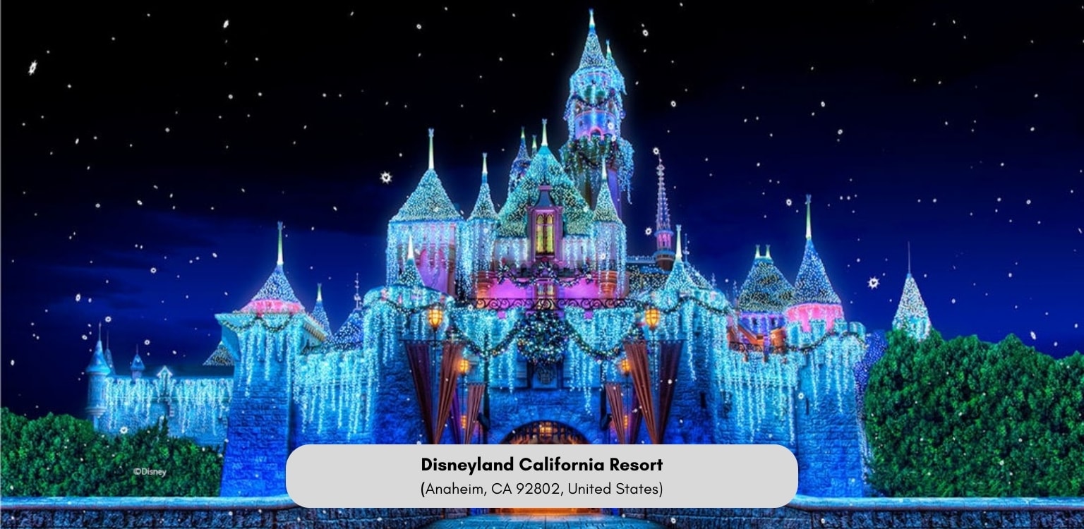 Colorful illuminated Disney castle at night with stars in the sky and surrounding greenery